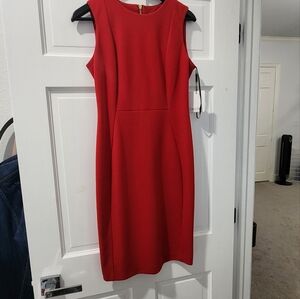 Size 6 brand new Calvin Klein red dress